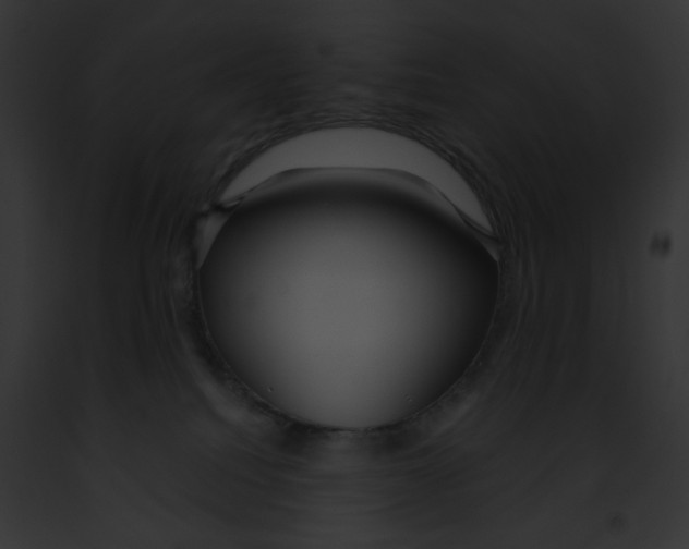 X0000091860088200710031049