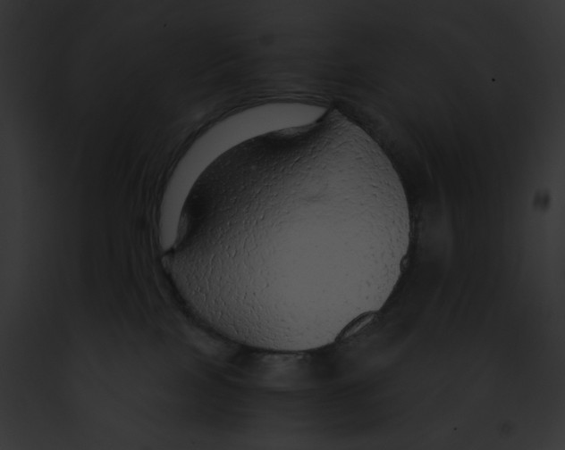 X0000091860089200710031049