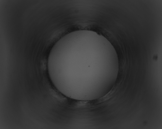 X0000091860090200710031049