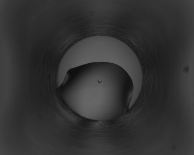 X0000091860092200710031049