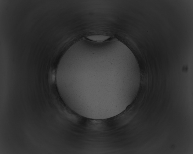 X0000091860095200710031049