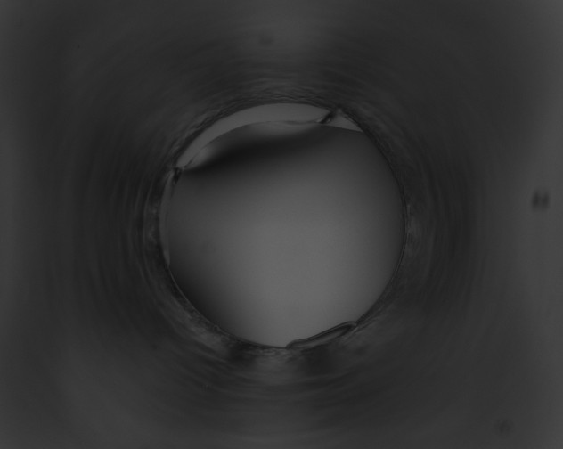 X0000091860096200710031049