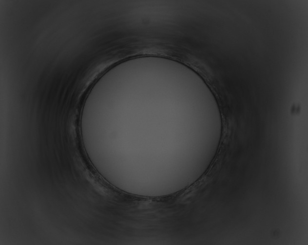 X0000091860098200710031049