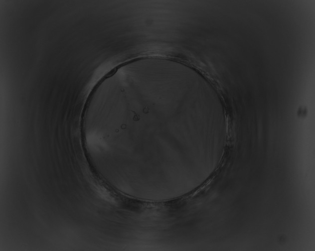 X0000091860099200710031049