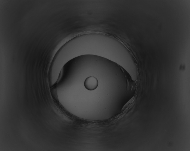 X0000091860100200710031049