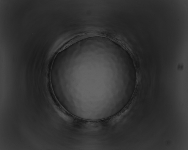 X0000091860101200710031049