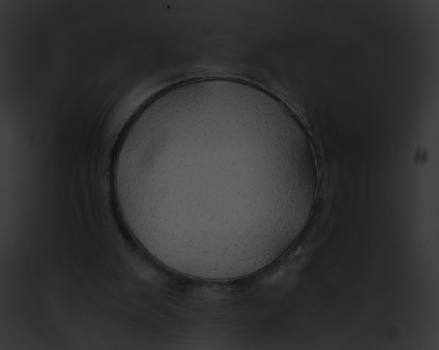 X0000091860103200710031049