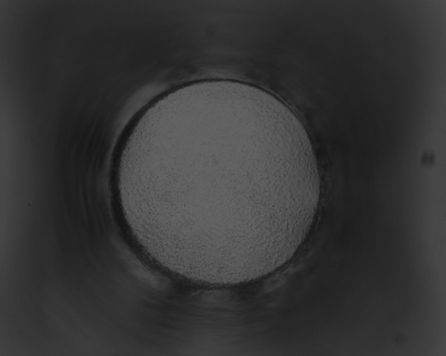 X0000091860104200710031049