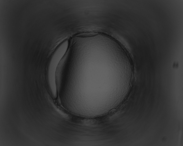 X0000091860105200710031049