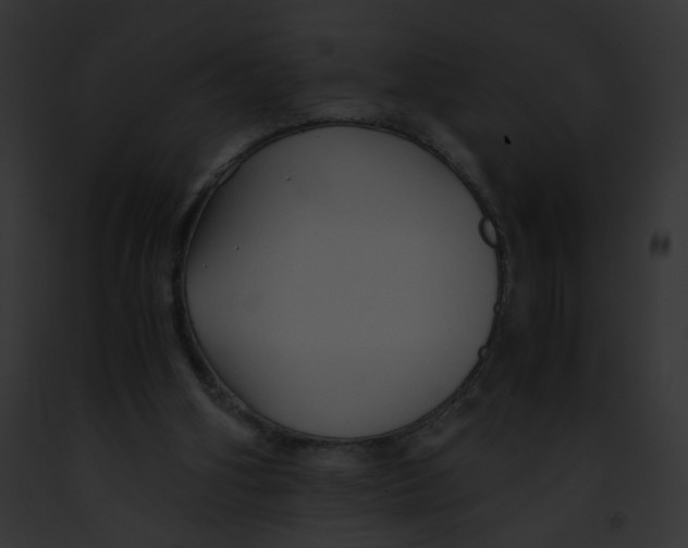 X0000091860106200710031049