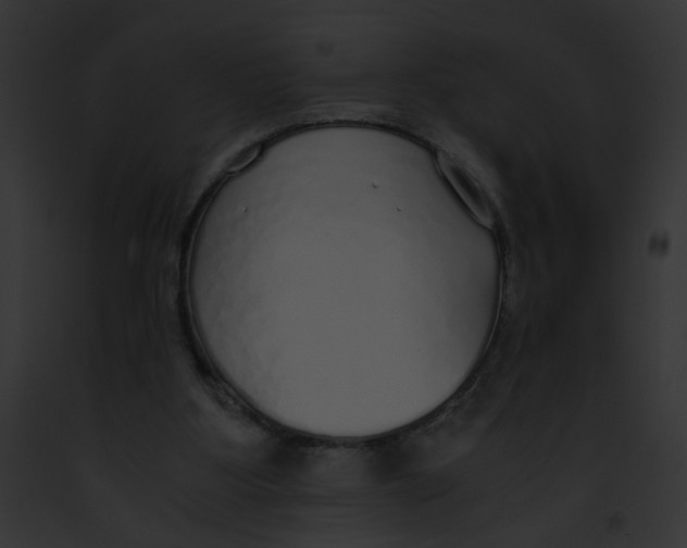 X0000091860107200710031049