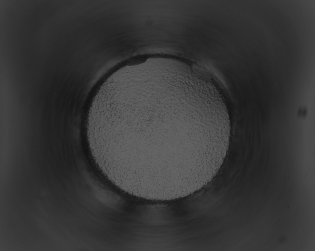 X0000091860108200710031049