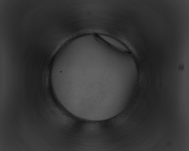 X0000091860110200710031049