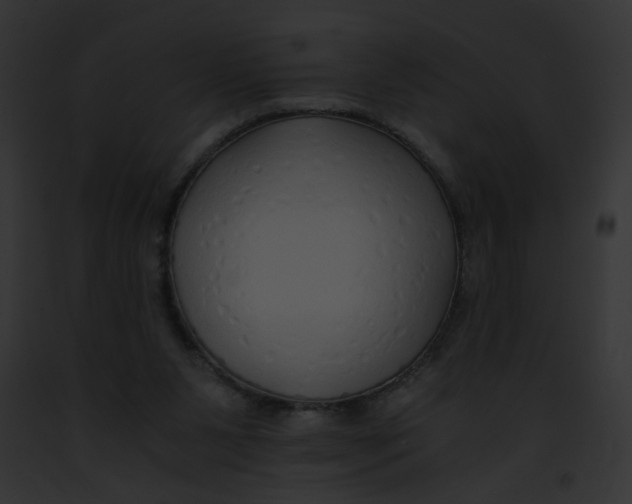 X0000091860111200710031049