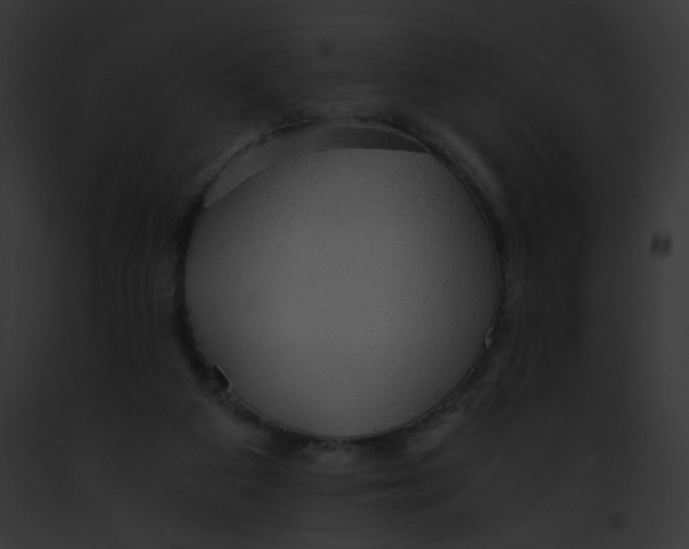 X0000091860113200710031048