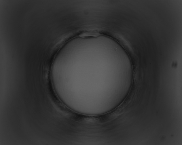 X0000091860115200710031048