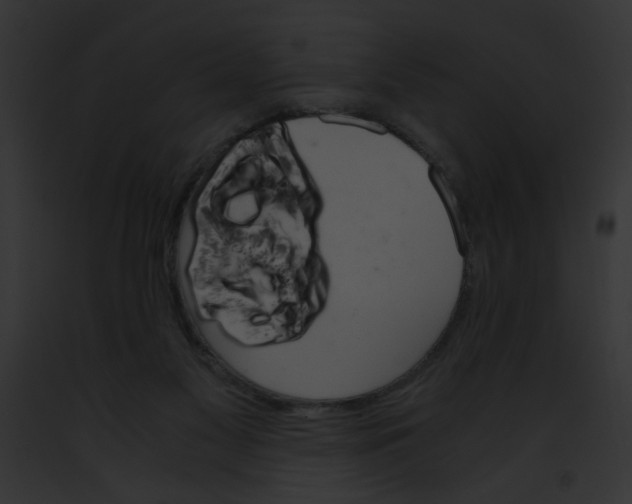 X0000091860117200710031048