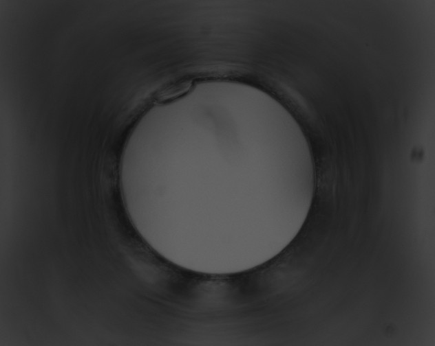 X0000091860119200710031048