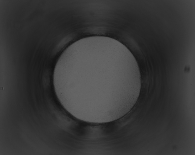 X0000091860120200710031048