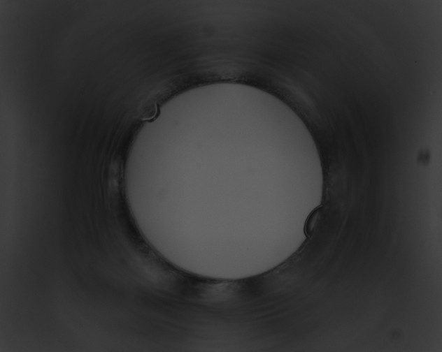 X0000091860122200710031048