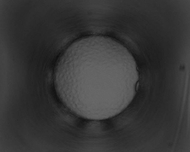 X0000091860123200710031048