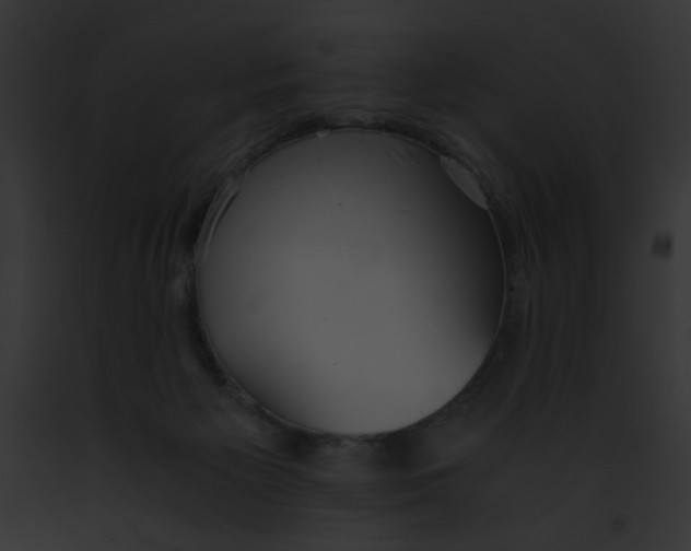 X0000091860125200710031048