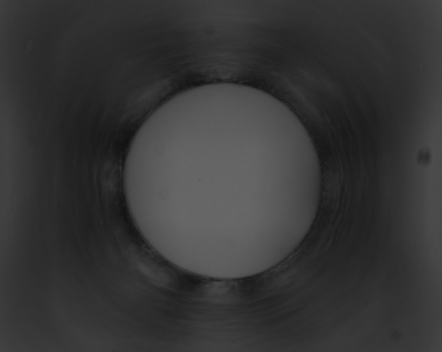 X0000091860126200710031048