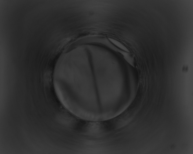 X0000091860127200710031048