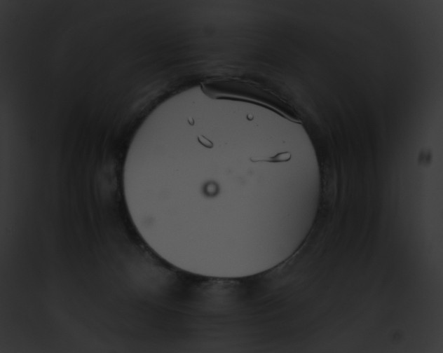 X0000091860128200710031048