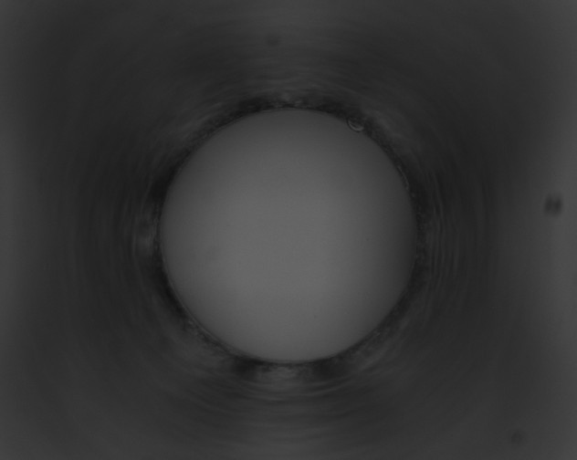 X0000091860129200710031048