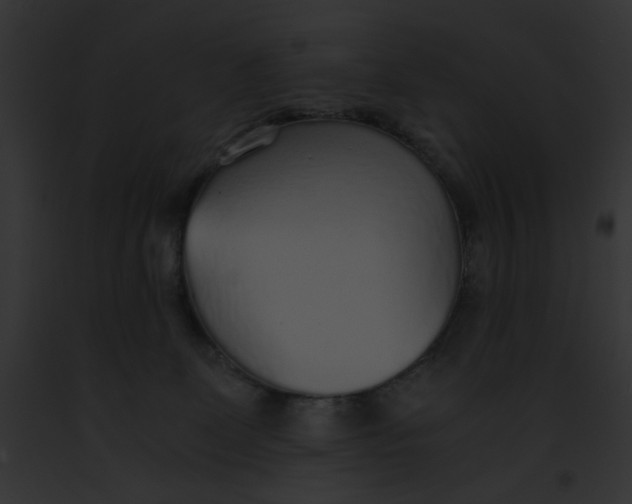 X0000091860131200710031048