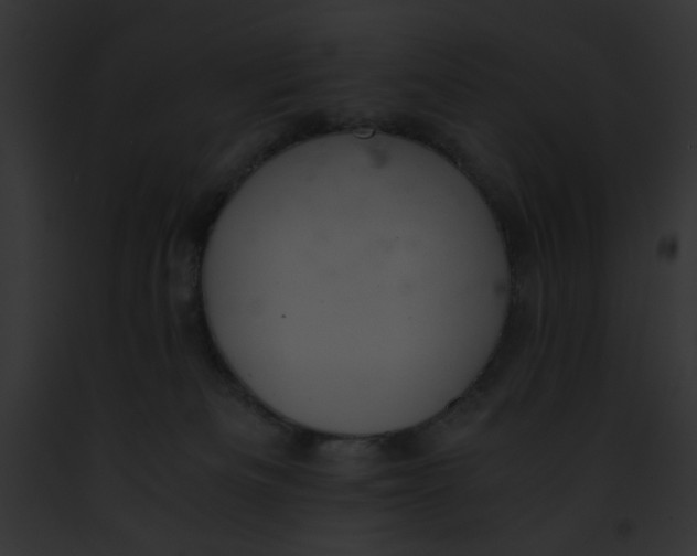 X0000091860133200710031048