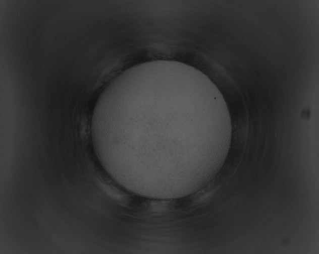 X0000091860134200710031048