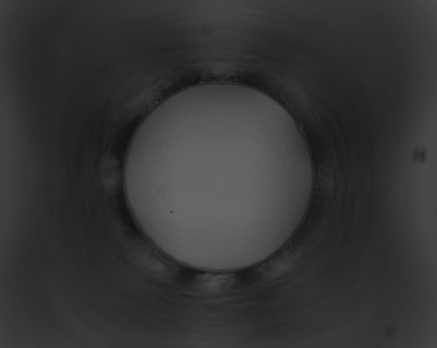 X0000091860135200710031048