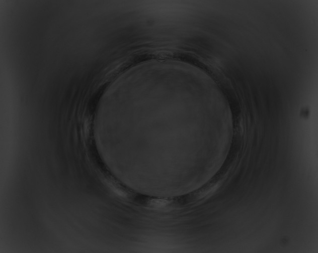 X0000091860139200710031048