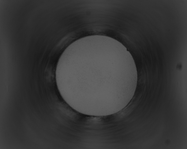 X0000091860140200710031048