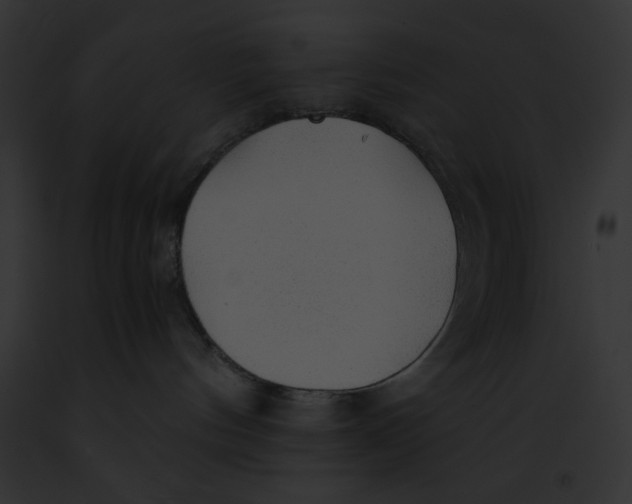 X0000091860144200710031048