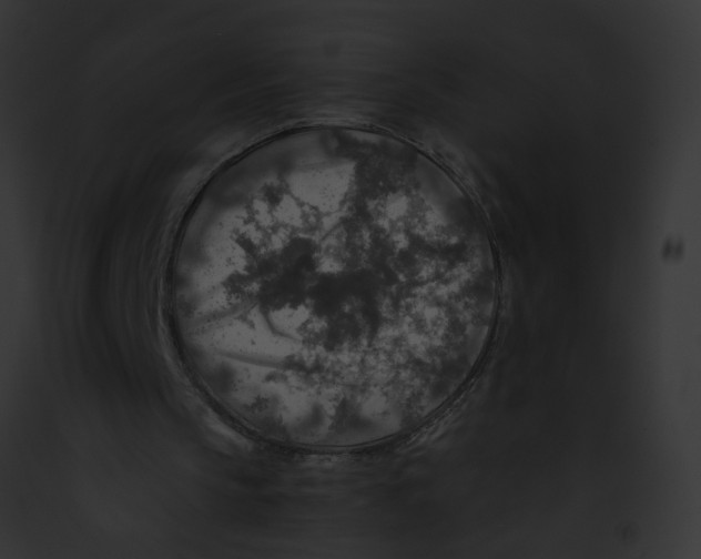 X0000091860145200710031047