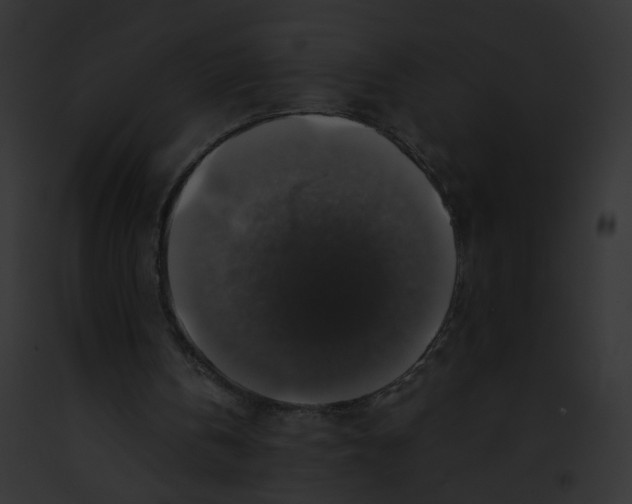 X0000091860146200710031047