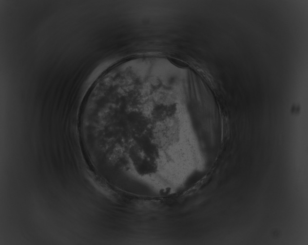 X0000091860147200710031047