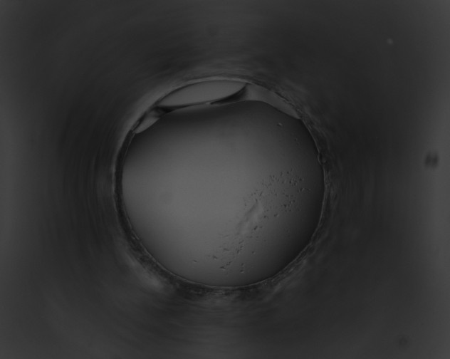 X0000091860148200710031047