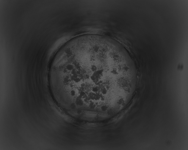 X0000091860149200710031047