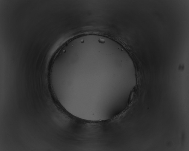 X0000091860150200710031047