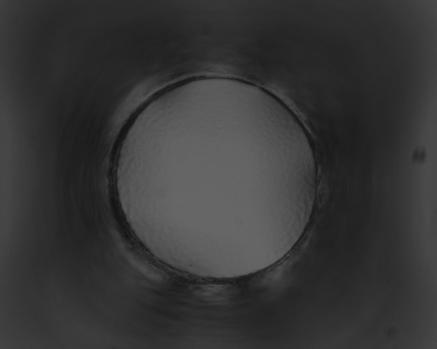 X0000091860151200710031047