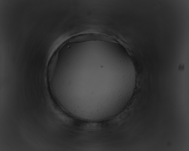 X0000091860152200710031047