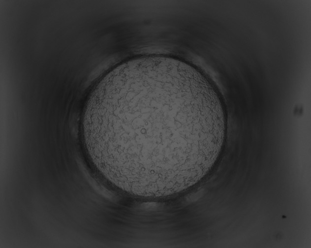 X0000091860153200710031047