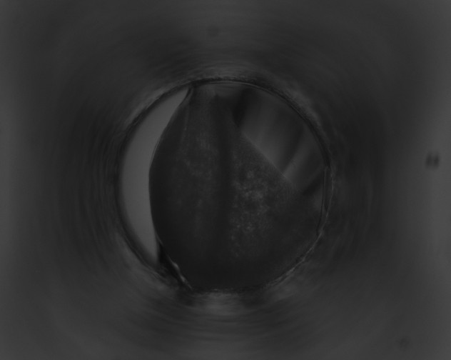 X0000091860154200710031047