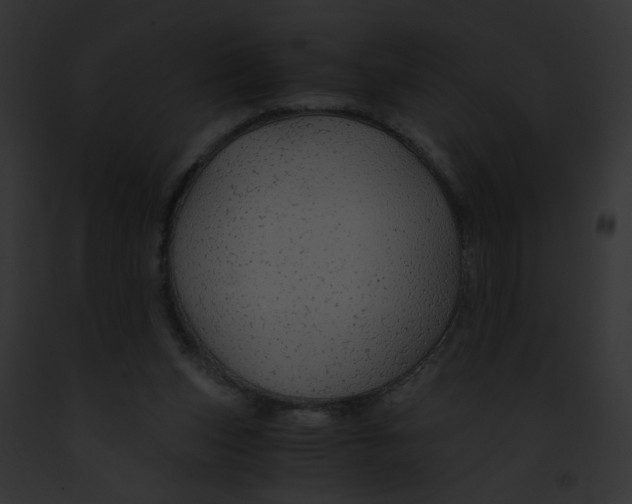 X0000091860159200710031047