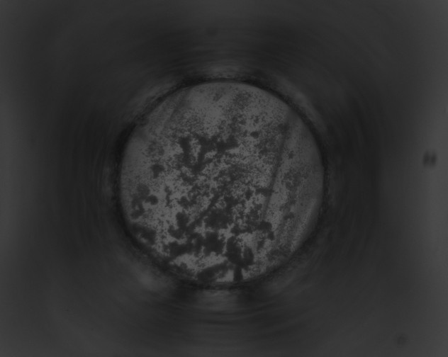 X0000091860161200710031048