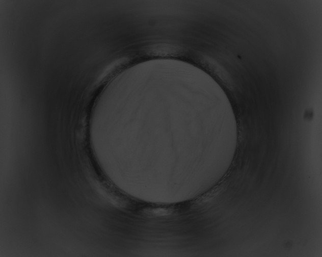 X0000091860163200710031048